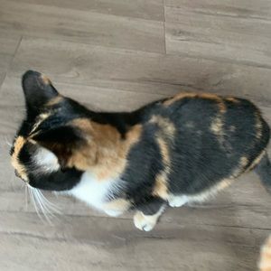 Meet your Posher, Keith